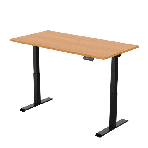 SmartStand Electric Height-Adjustable Standing Desk