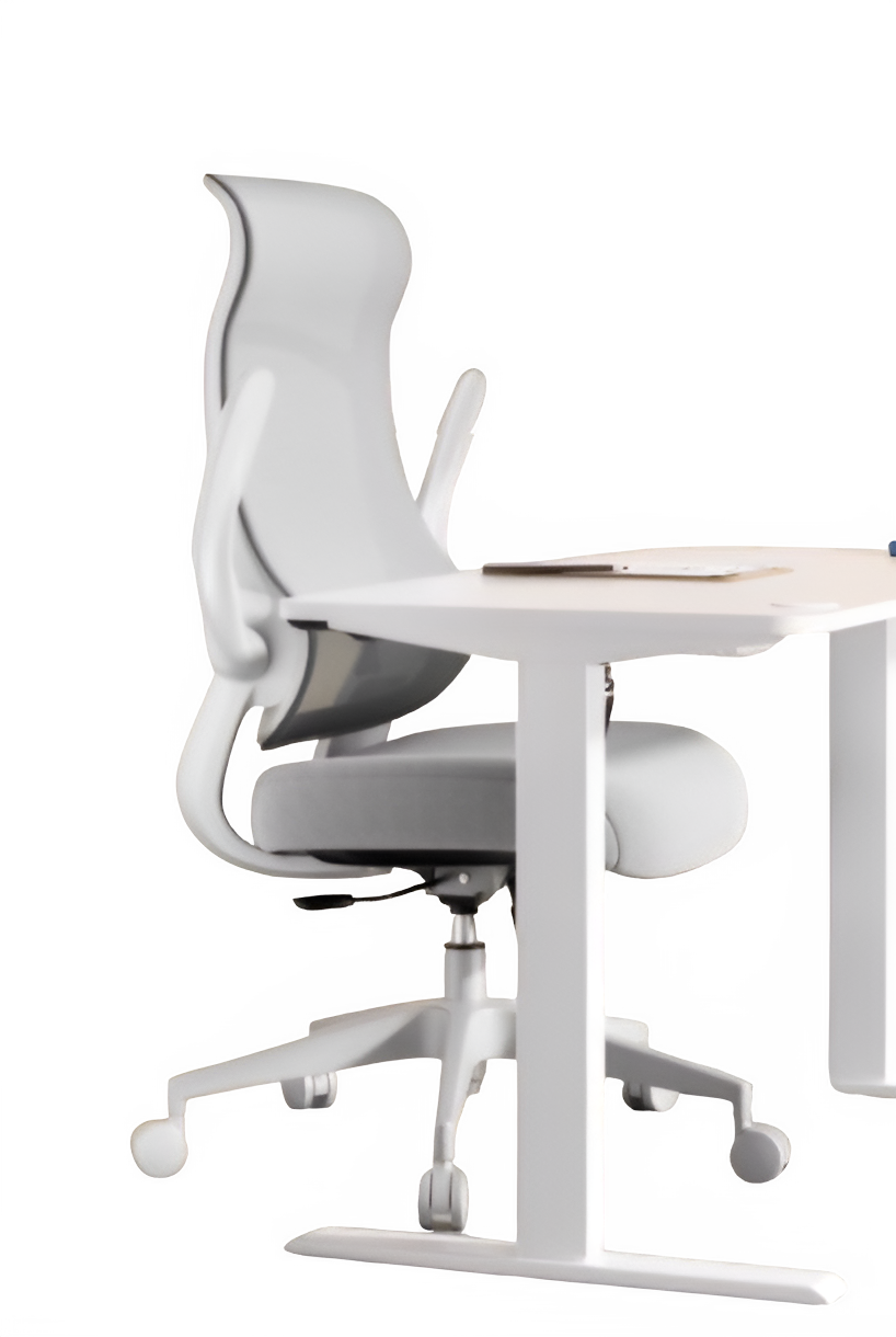 ErgoFlex Ergonomic Chair : Home Office Mesh Ergonomic Chair- All-Day Comfort for Work and Relaxation