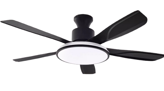 Smart Ceiling Fan