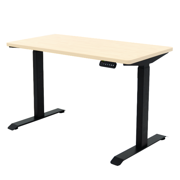 SmartStand Electric Height-Adjustable Standing Desk