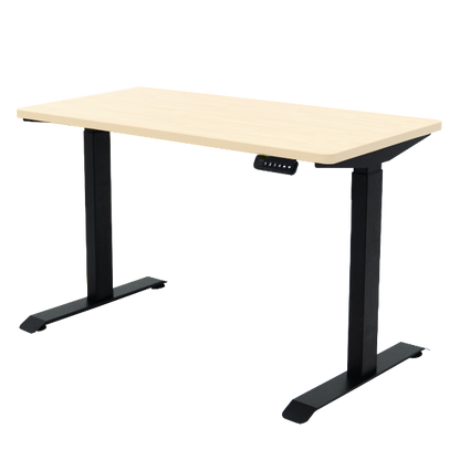 SmartStand Electric Height-Adjustable Standing Desk